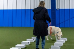 2022-March-Scent-Trial-347