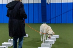 2022-March-Scent-Trial-348