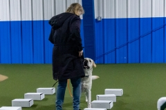 2022-March-Scent-Trial-349