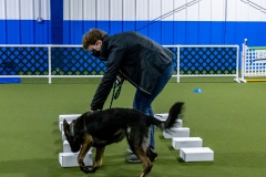 2022-March-Scent-Trial-353