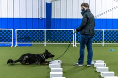 2022-March-Scent-Trial-356