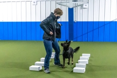 2022-March-Scent-Trial-360