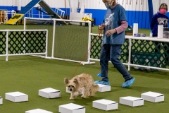 2022-March-Scent-Trial-363