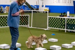 2022-March-Scent-Trial-364