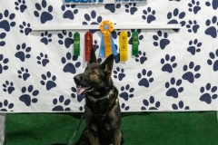 2022-March-Scent-Trial-365