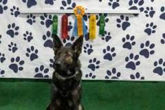 2022-March-Scent-Trial-368