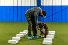 2022-March-Scent-Trial-374