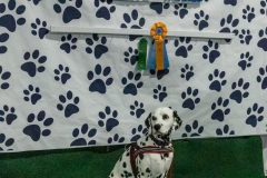 2022-March-Scent-Trial-375