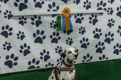 2022-March-Scent-Trial-376