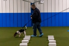 2022-March-Scent-Trial-377