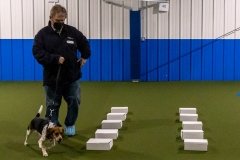 2022-March-Scent-Trial-378