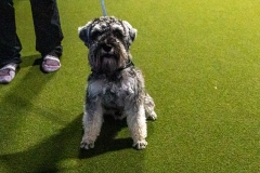 2022-March-Scent-Trial-383