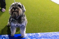 2022-March-Scent-Trial-384