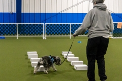 2022-March-Scent-Trial-385