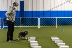 2022-March-Scent-Trial-387