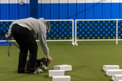 2022-March-Scent-Trial-388