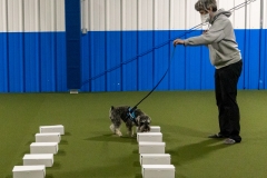 2022-March-Scent-Trial-390