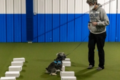 2022-March-Scent-Trial-391