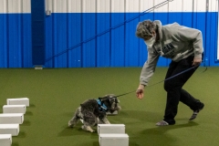 2022-March-Scent-Trial-392