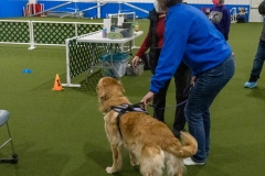 2022-March-Scent-Trial-394