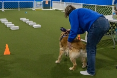 2022-March-Scent-Trial-395