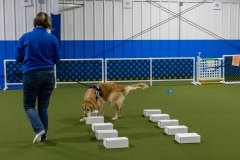 2022-March-Scent-Trial-396