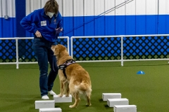 2022-March-Scent-Trial-397