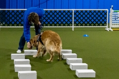 2022-March-Scent-Trial-398