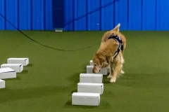 2022-March-Scent-Trial-401