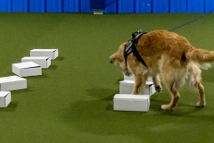 2022-March-Scent-Trial-402