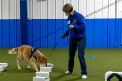 2022-March-Scent-Trial-403