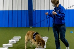 2022-March-Scent-Trial-404