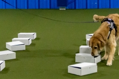 2022-March-Scent-Trial-405