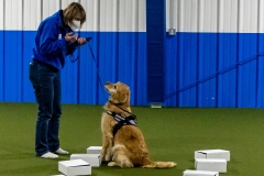 2022-March-Scent-Trial-407