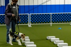 2022-March-Scent-Trial-410