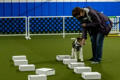 2022-March-Scent-Trial-411