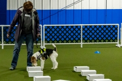 2022-March-Scent-Trial-412