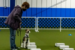 2022-March-Scent-Trial-413