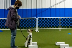 2022-March-Scent-Trial-414