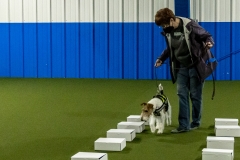 2022-March-Scent-Trial-416