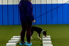 2022-March-Scent-Trial-423