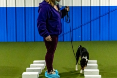 2022-March-Scent-Trial-424