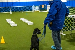 2022-March-Scent-Trial-426