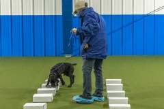 2022-March-Scent-Trial-431