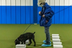 2022-March-Scent-Trial-432