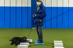 2022-March-Scent-Trial-433