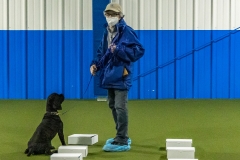 2022-March-Scent-Trial-434