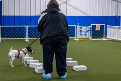 2022-March-Scent-Trial-435