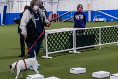 2022-March-Scent-Trial-440