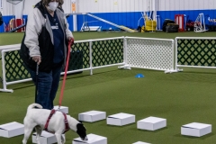 2022-March-Scent-Trial-441